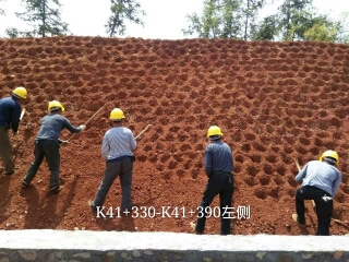 長沙東日?qǐng)@林工程有限公司,長沙園林綠化工程,長沙綠化養(yǎng)護(hù)管理